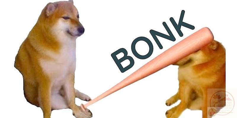 Bộ sưu tập meme đánh nhau, meme mèo đánh nhau hài hước, vui nhộn