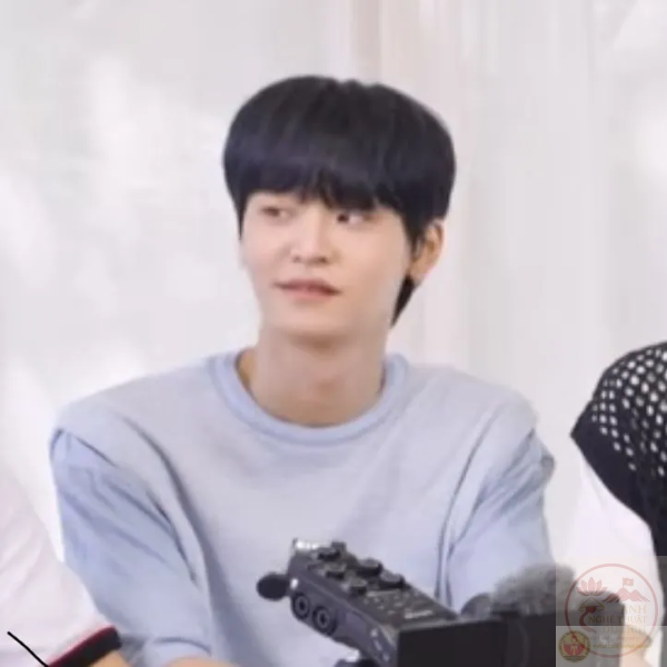 68 Dấu mộc hay! ý tưởng | hài hước, ảnh chó vui nhộn, chuyện cười