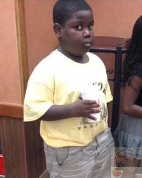 Bộ sưu tập meme đánh nhau, meme mèo đánh nhau hài hước, vui nhộn