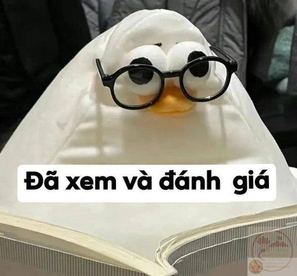 Chaien đeo kính "Tôi đánh giá cao em" - TVMeme