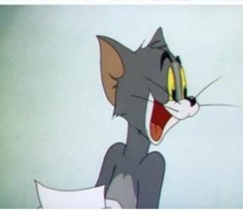 Meme mèo ngạc nhiên bá đạo