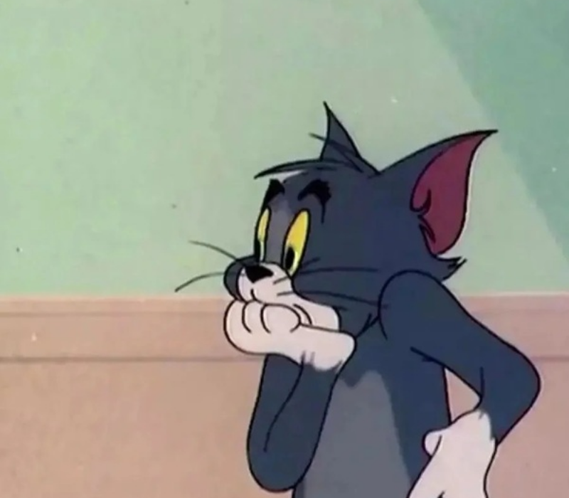 Meme mèo ngạc nhiên câm lặng