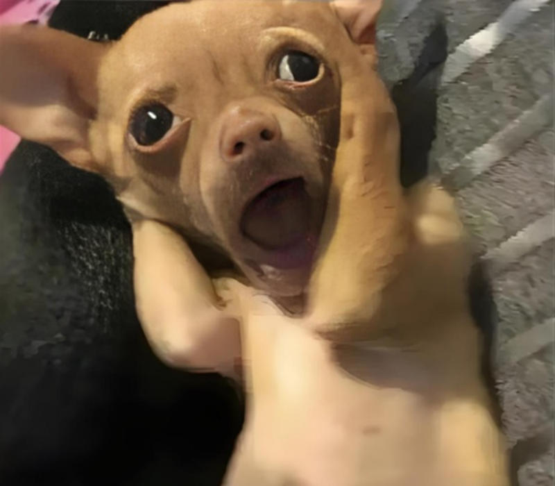 Meme ngạc nhiên ôm đầu