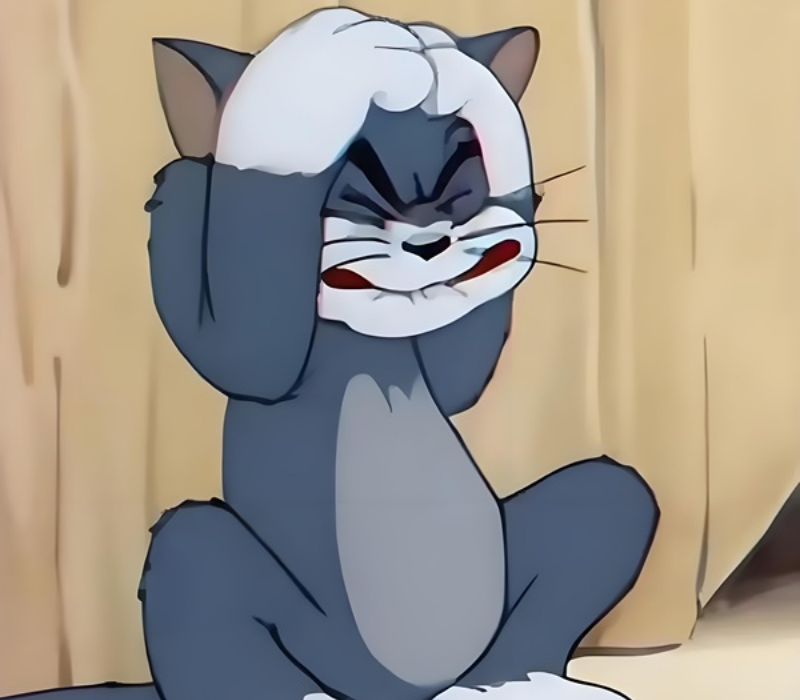 Meme mèo hết chịu nổi