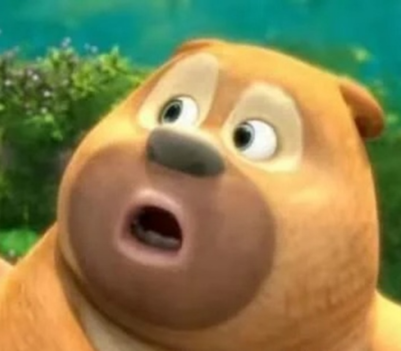 Meme gấu ngạc nhiên