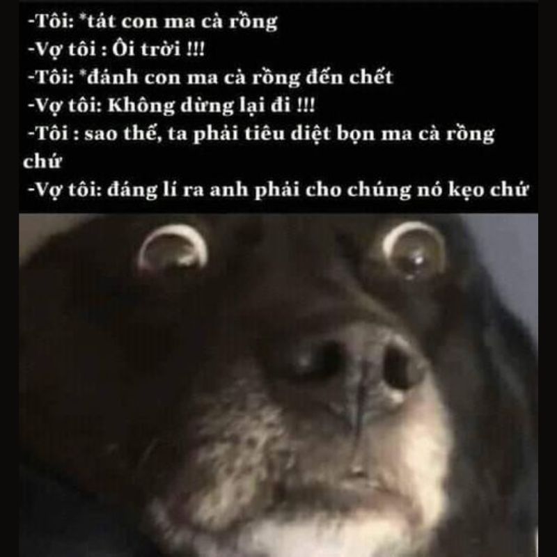 ảnh dark meme chế cực tối