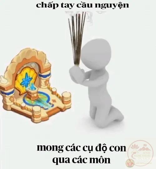 meme cầu xin 8