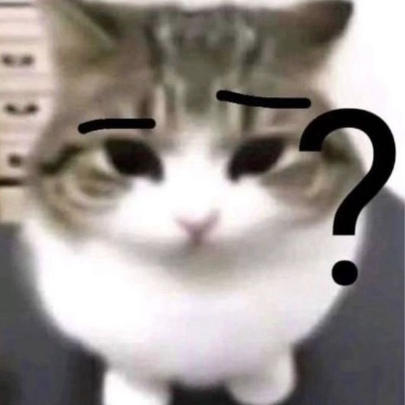 mèo chấm hỏi meme