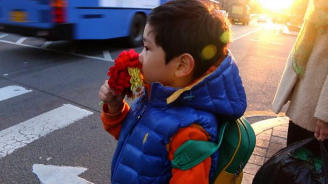 Memoirs of a Superfan Volume 13.9: Revival and Arrival