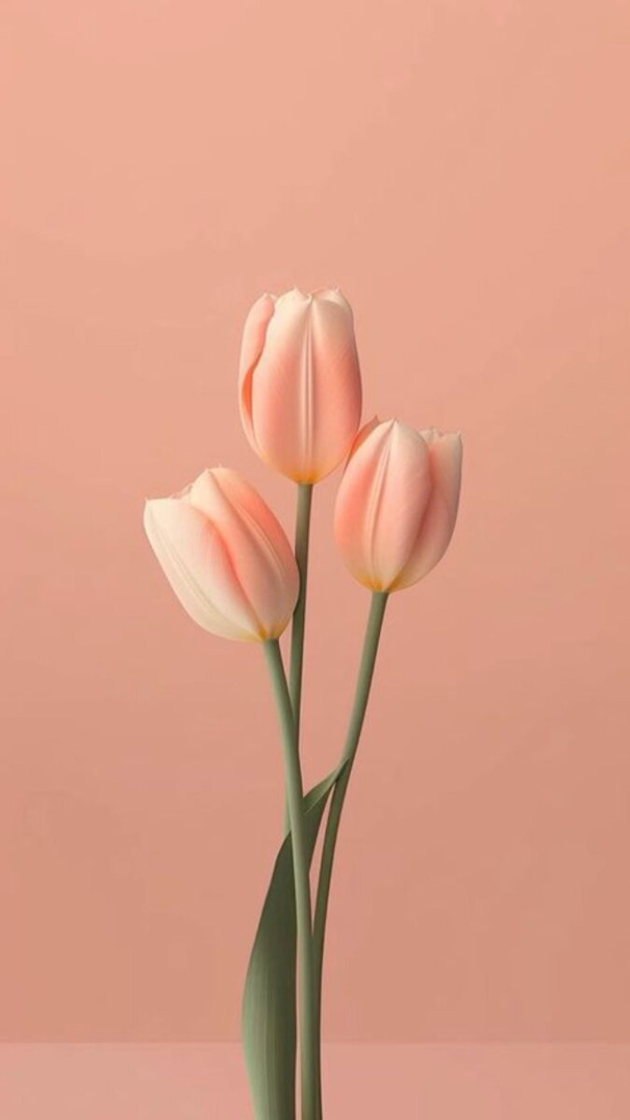 Ảnh hoa tulip