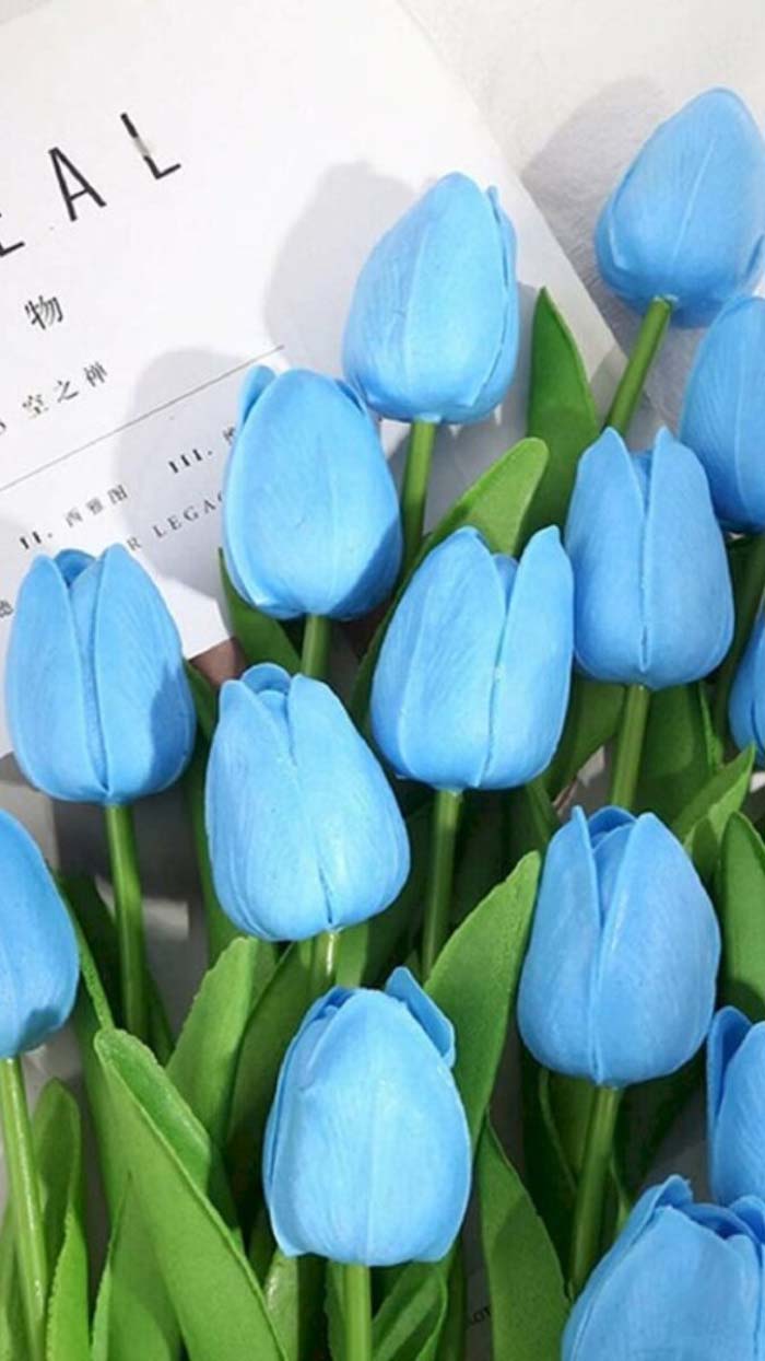 Ảnh hoa tulip