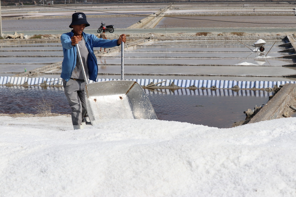 Giải pháp nào cho phát triển bền vững ngành muối ở Việt Nam?