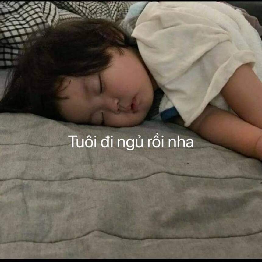 Meme chúc ngủ ngon độc đáo nhất giúp bạn tạo ấn tượng với người nhận