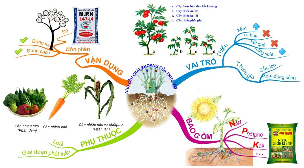 Hạn chế sử dụng phân bón hóa học
