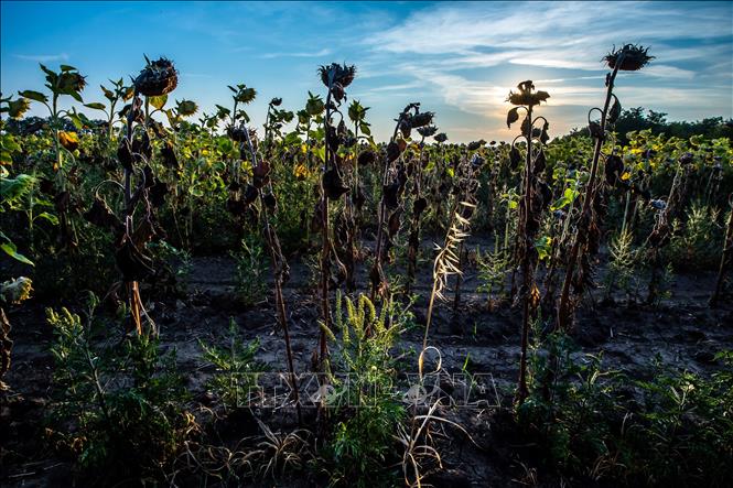 mất cân bằng hệ sinh thái