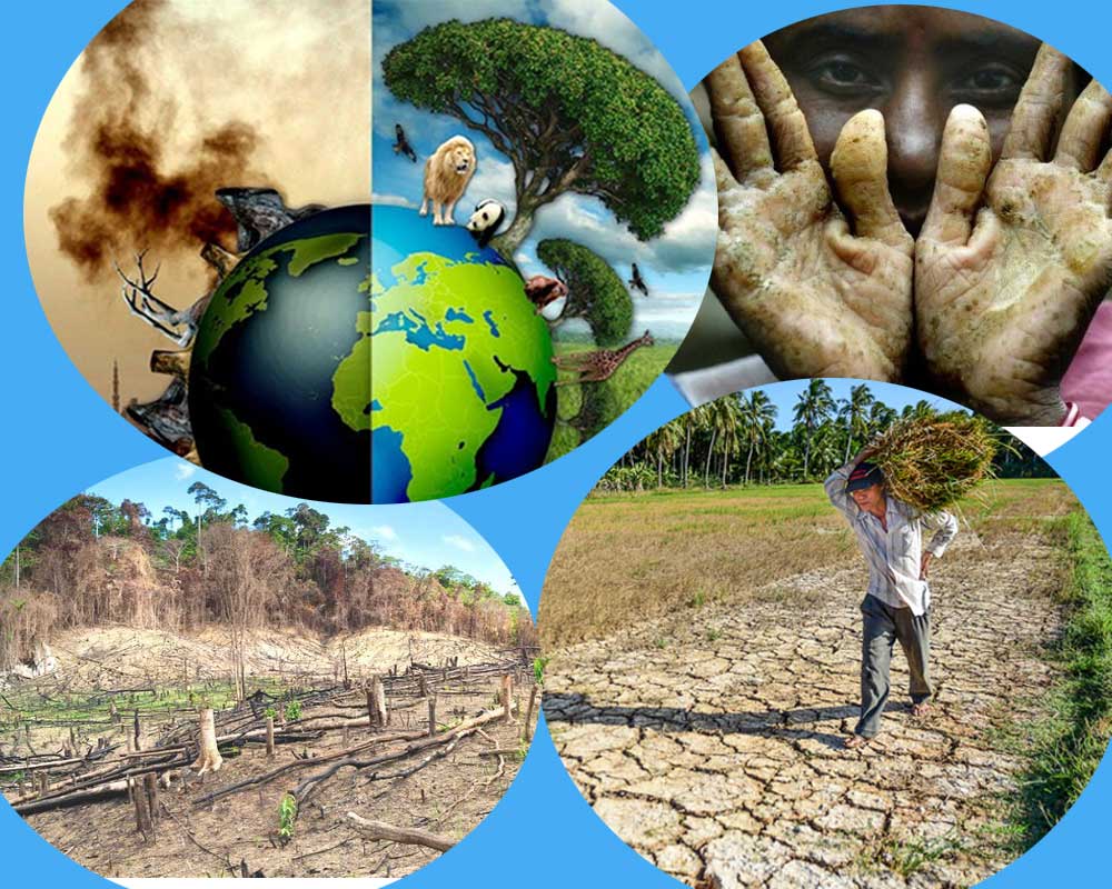 ô nhiễm môi trường đất