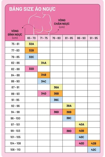 [NUDE TONE] Bra Set áo ngực nữ iBasic áo ngực có gọng mút dày và quần không đường may lưng cao - BRAW163+V119