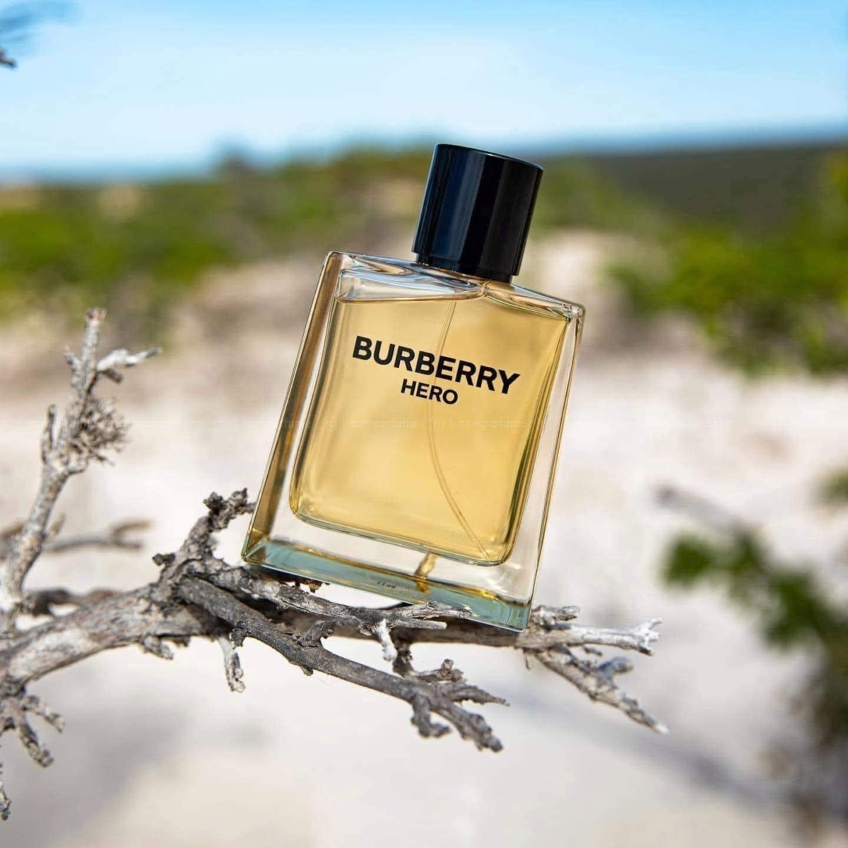 Nước Hoa Nam Burberry Hero EDT