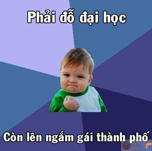 Meme thi tạch