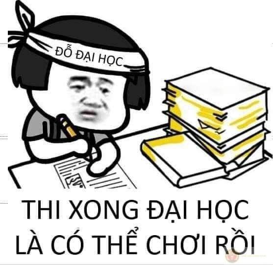 Meme học bài đi