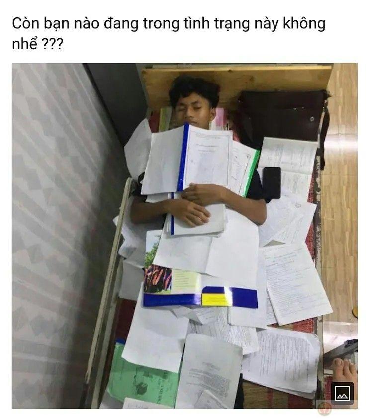 Meme học sinh hài hước chứng minh thời đi học luôn là quãng đời đáng nhớ nhất