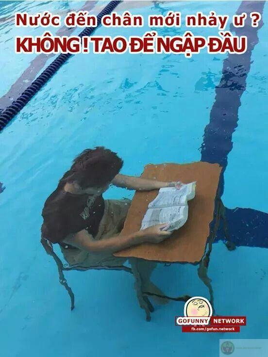 Meme học bài dưới nước