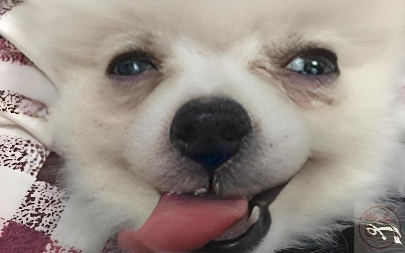 meme thèm thuồng 29