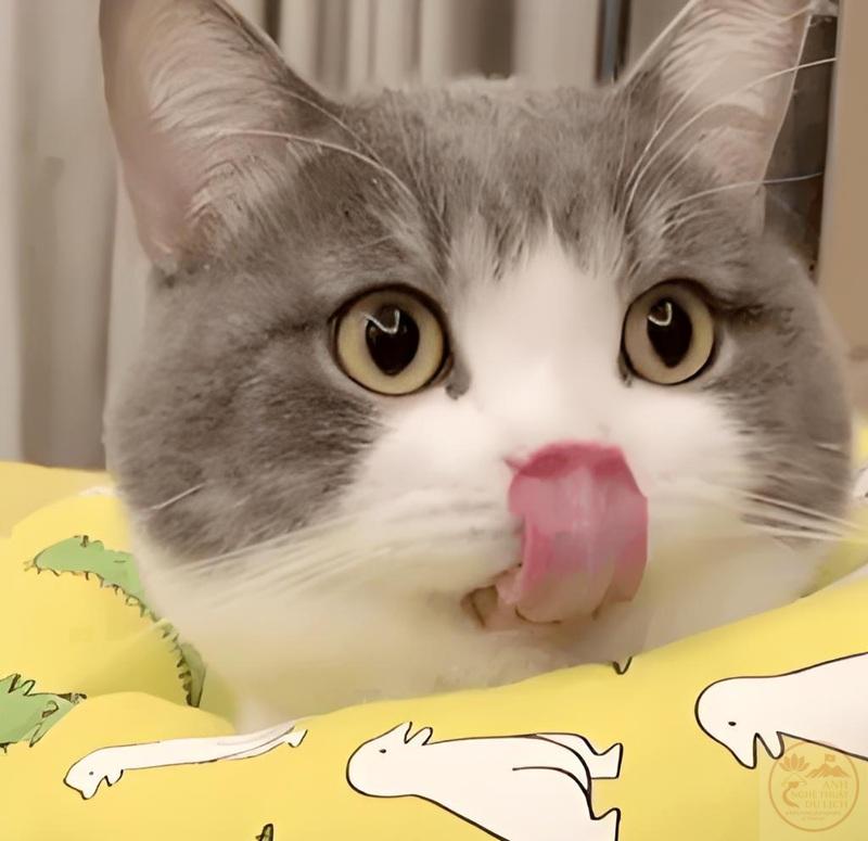 meme thèm thuồng 19