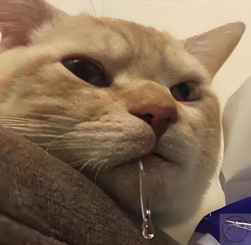 meme thèm thuồng 21