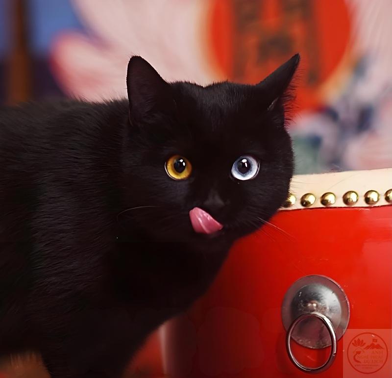 meme thèm thuồng 28