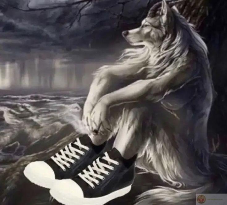 Sói hoang cô độc meme là cách giới trẻ dùng để chế giễu phong cách