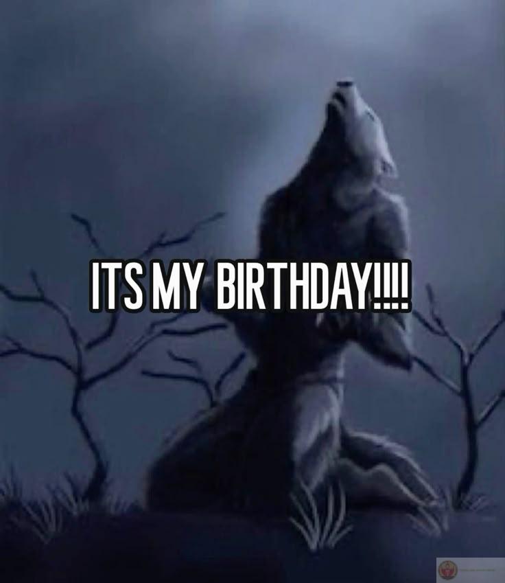 Sói cô độc meme nhảy tạo nên sự đối lập hài hước giữa ngầu và vui nhộn