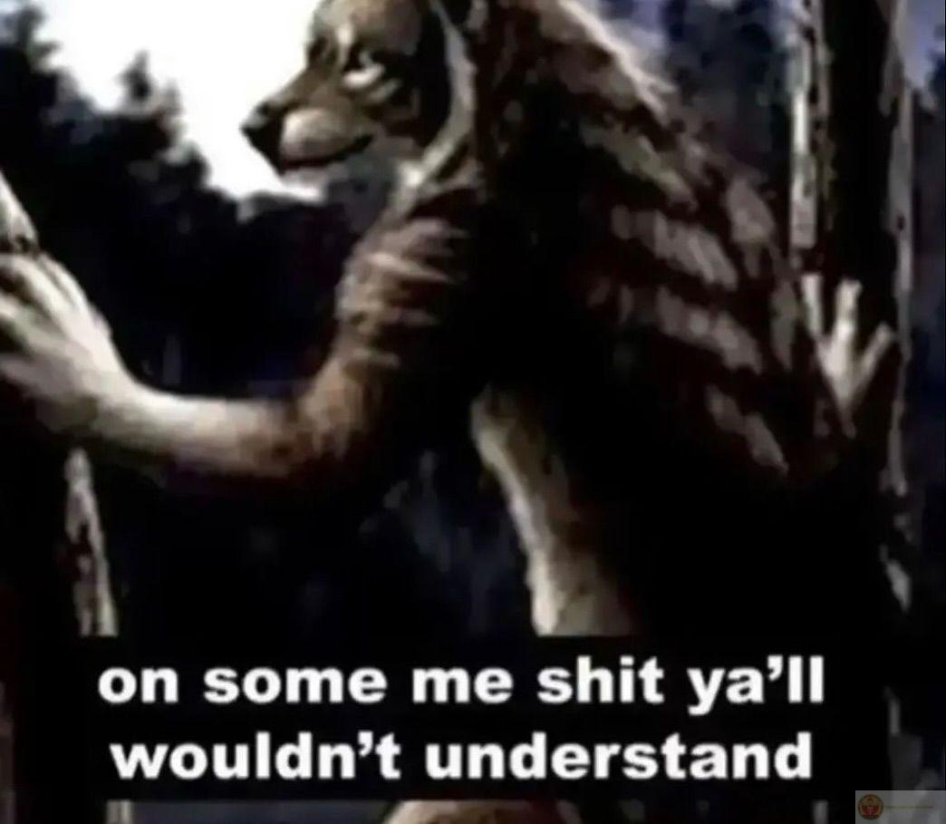 Sói cô độc meme nhảy thể hiện sự kết hợp độc đáo giữa ngầu và vui nhộn