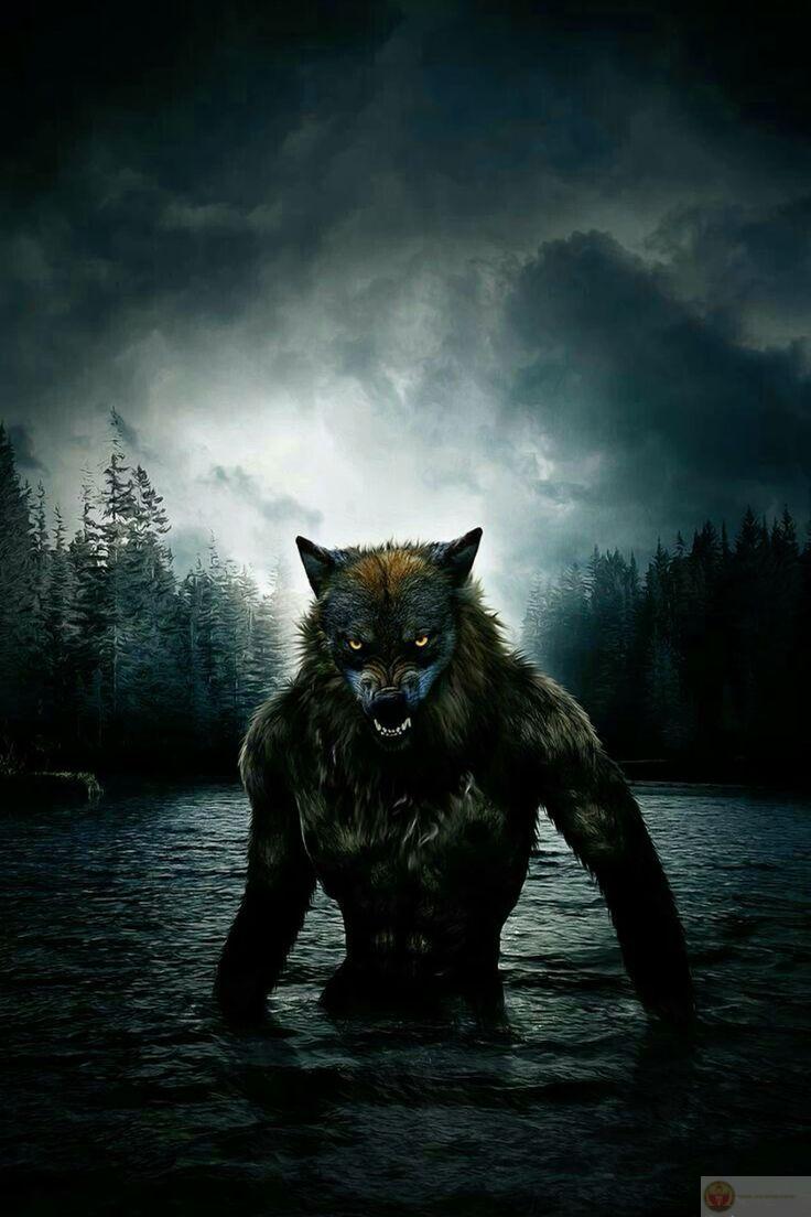 Sói cô độc meme nhảy xuất hiện nhiều trong các đoạn video chế ngộ nghĩnh