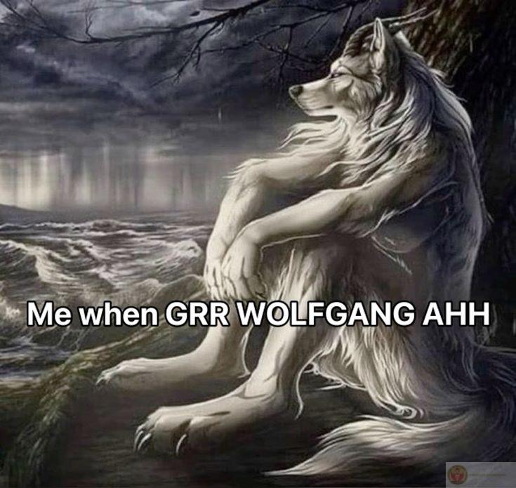 Sói cô độc meme thường được dùng trong những tình huống hài hước bất ngờ