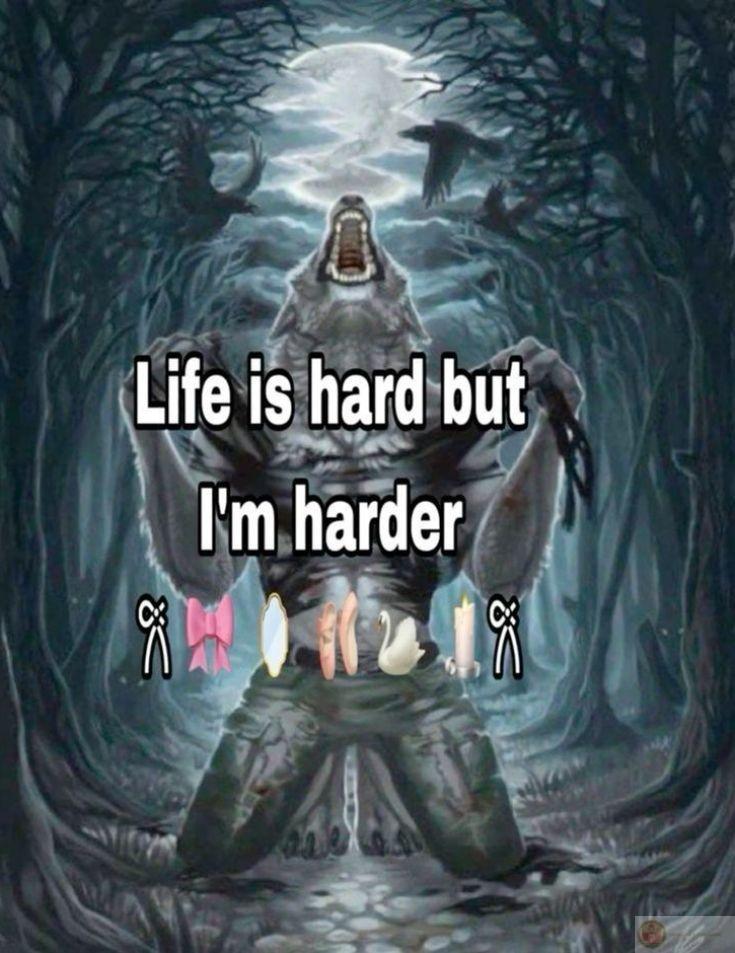 Sói cô độc meme thường được thêm chữ hài hước để làm tăng độ vui nhộn