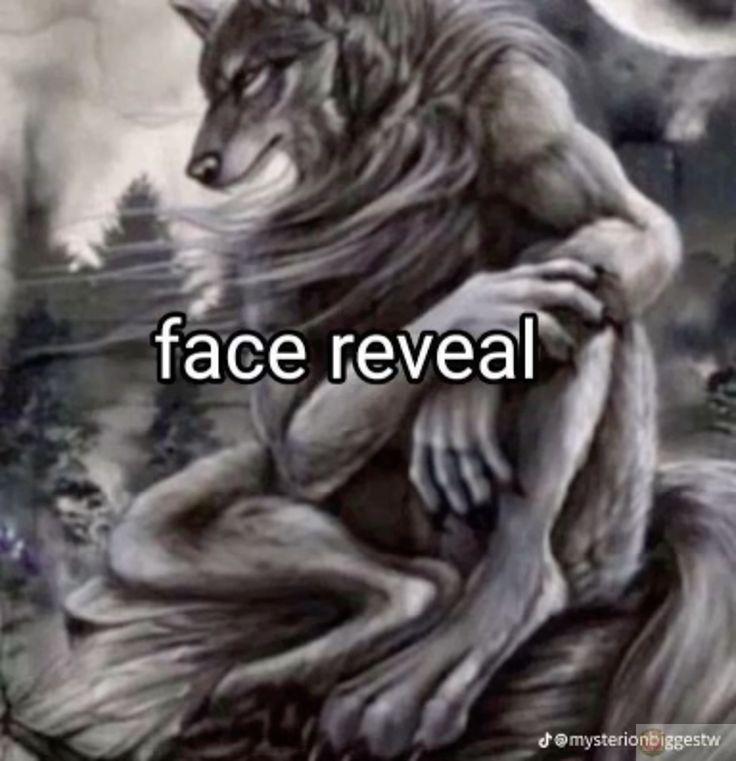 Sói hoang cô độc meme là minh chứng cho cách giới trẻ thể hiện sự dí dỏm