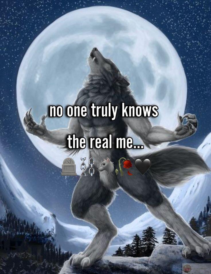 Sói cô độc xé áo meme