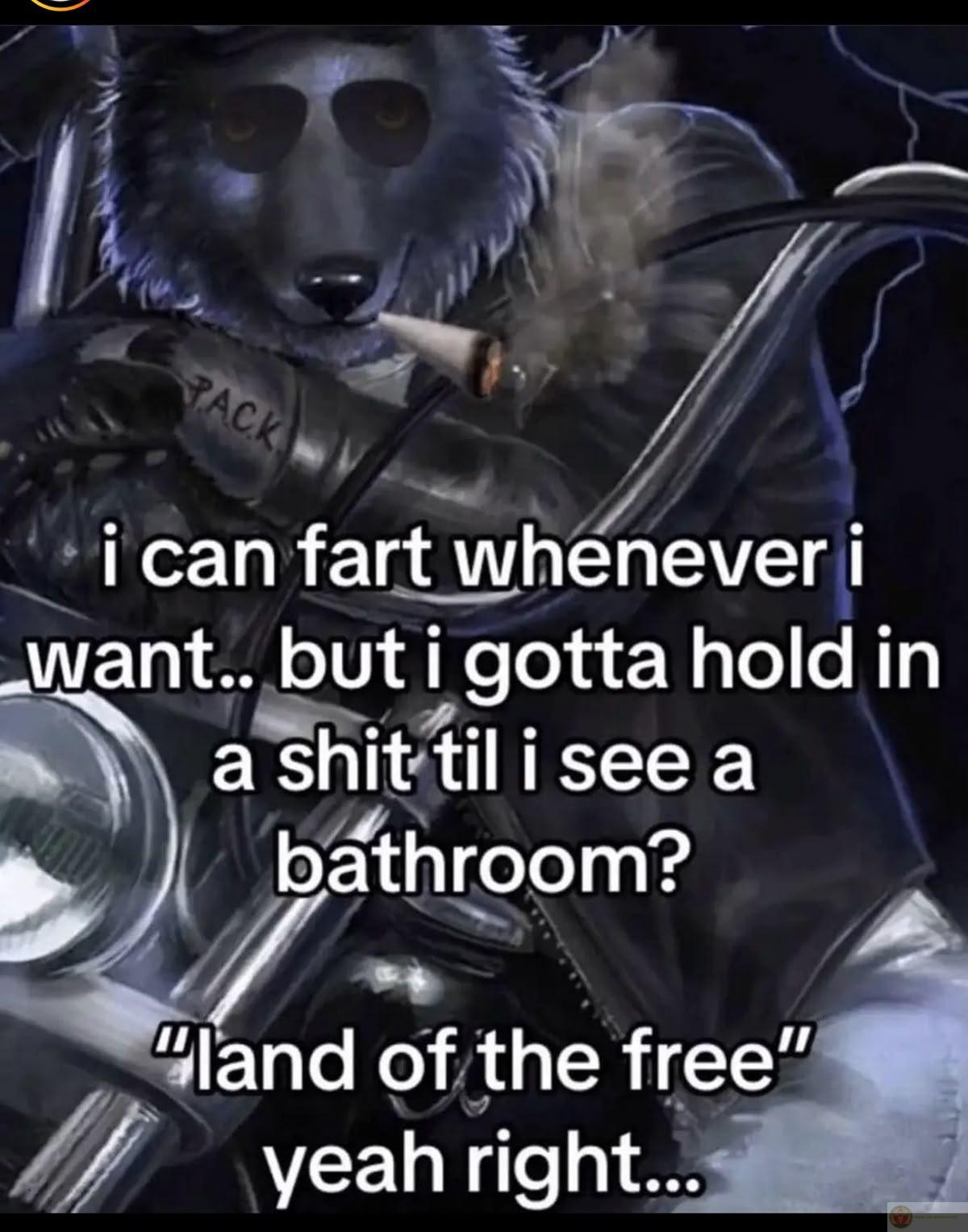 Sói hoang cô độc meme thường dùng để chế giễu sự tự tin thái quá hài hước