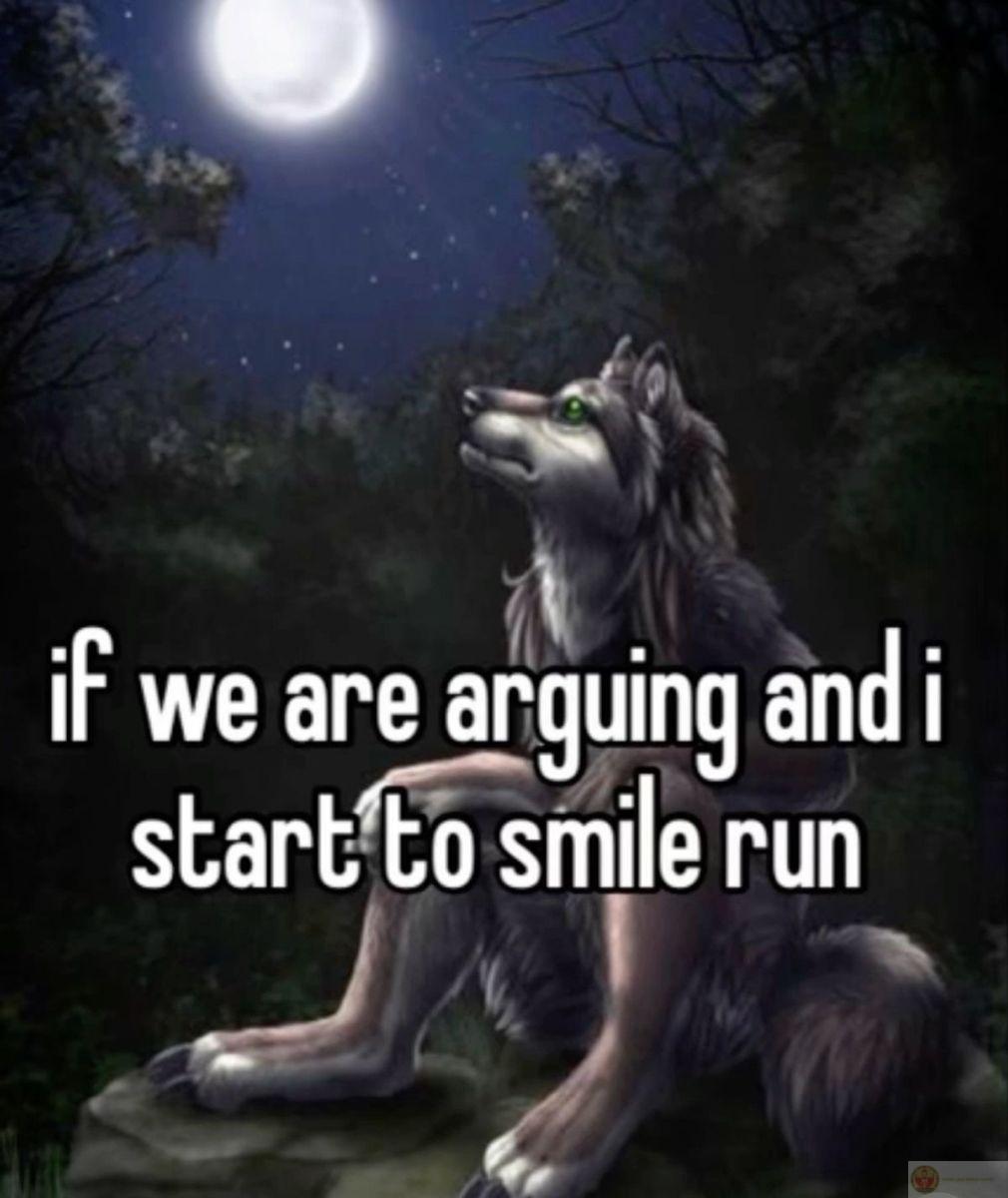 Sói hoang cô độc meme thường được dùng để chế giễu tính