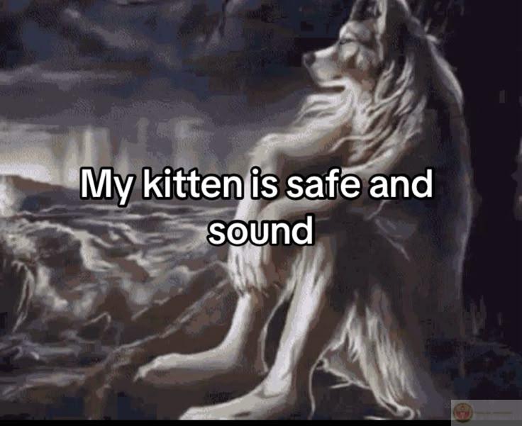 Sói hoang cô độc meme thường nhấn mạnh sự