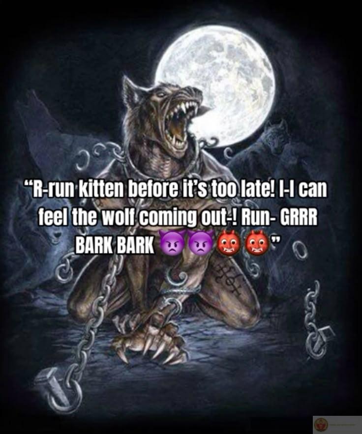 Sói hoang cô độc meme trở thành đề tài chế giễu vui nhộn trong group chat