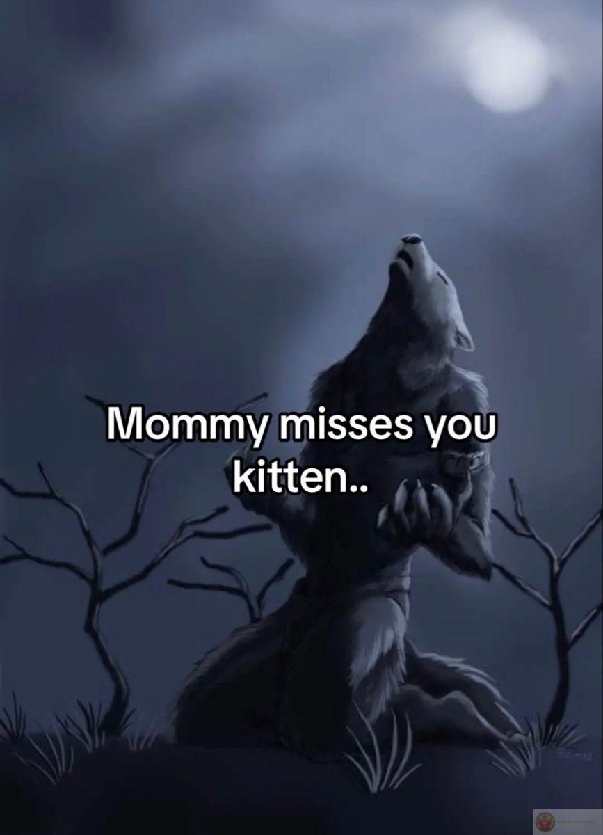 Sói già cô độc meme thường gắn liền với những câu chuyện troll vui vẻ online