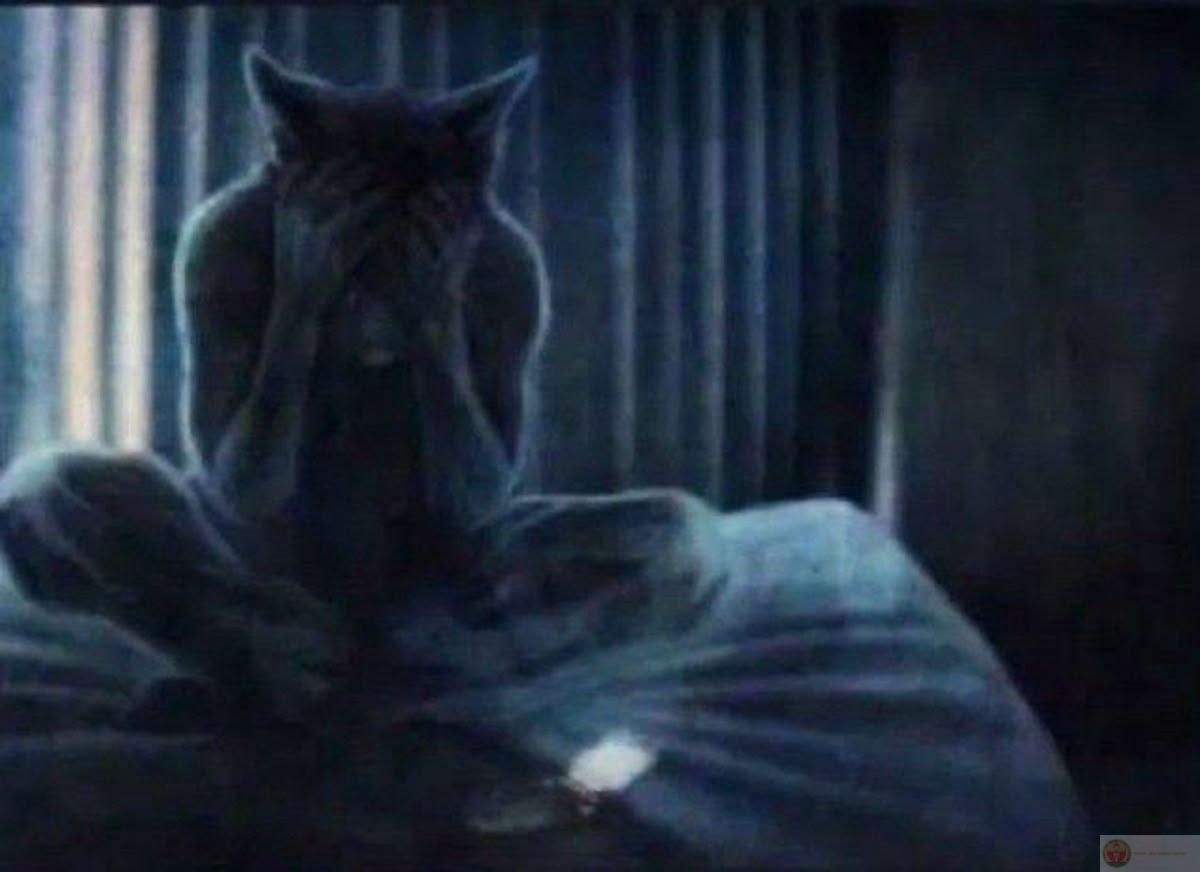 Ảnh sói cô độc meme trở thành lựa chọn phổ biến để troll bạn bè hằng ngày