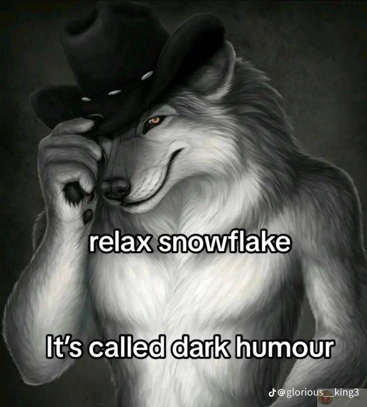 Con sói cô độc meme gây ấn tượng nhờ sự đối lập giữa hình ảnh và nội dung