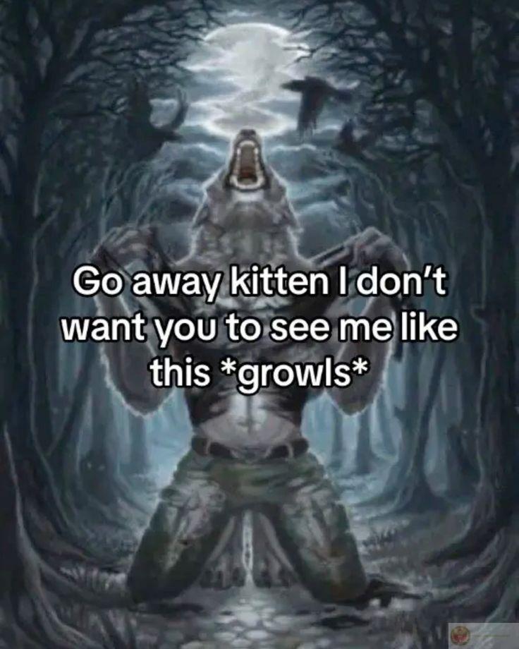 Con sói cô độc meme khắc họa sự ngầu lòi nhưng hài hước trong từng chi tiết