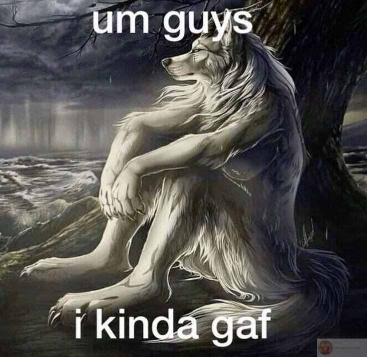 Con sói cô độc meme thường gắn liền với những câu chữ hài hước ngẫu nhiên