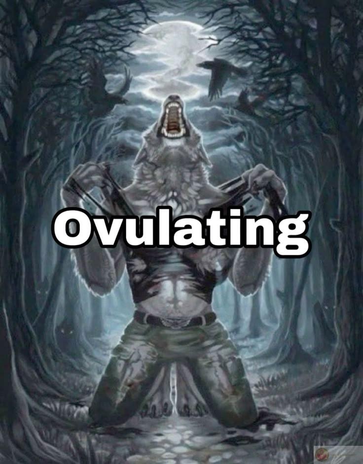 Meme sói cô độc