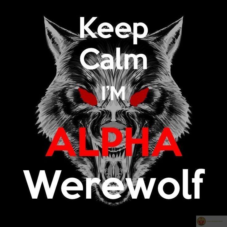 Meme sói cô độc được yêu thích vì sự hài hước kết hợp hình ảnh mạnh mẽ