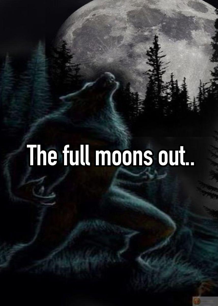 Meme sói cô độc lan truyền mạnh mẽ nhờ sự hài hước dí dỏm và dễ hiểu